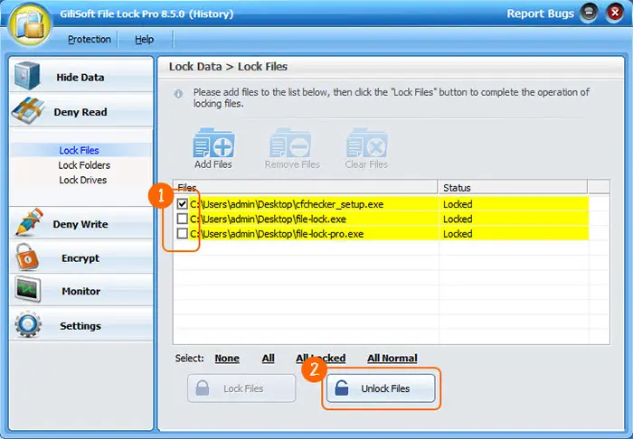 GiliSoft File Lock Pro Free Download