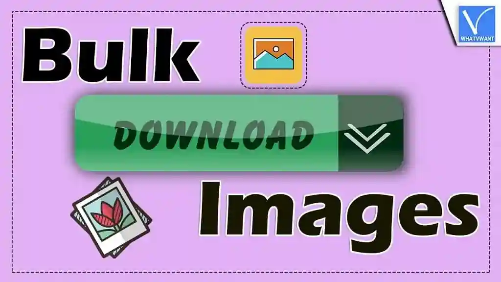 Bulk Image Downloader Latest